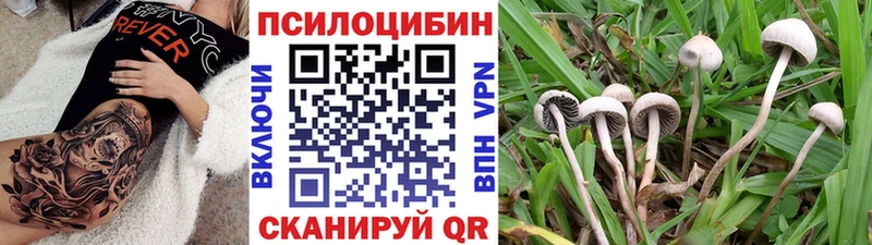Галлюциногенные грибы Psilocybe Магас