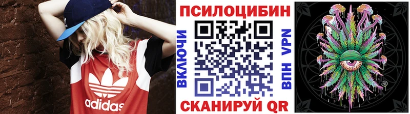 Псилоцибиновые грибы Psilocybine cubensis  наркотики  Магас 